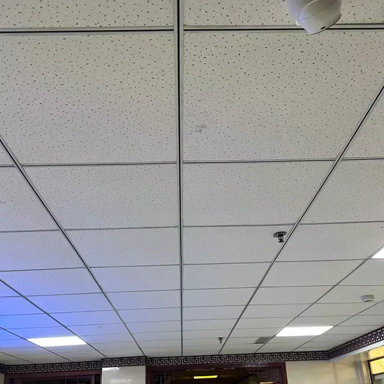 Ceiling Tiles